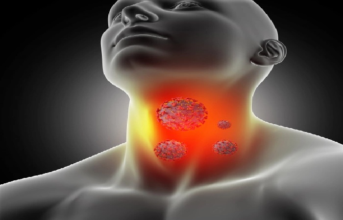 Thyroid gland