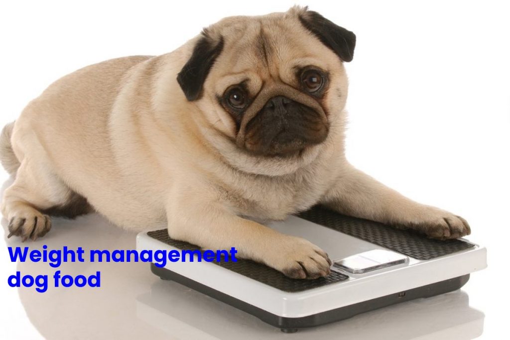 Weight management dog food