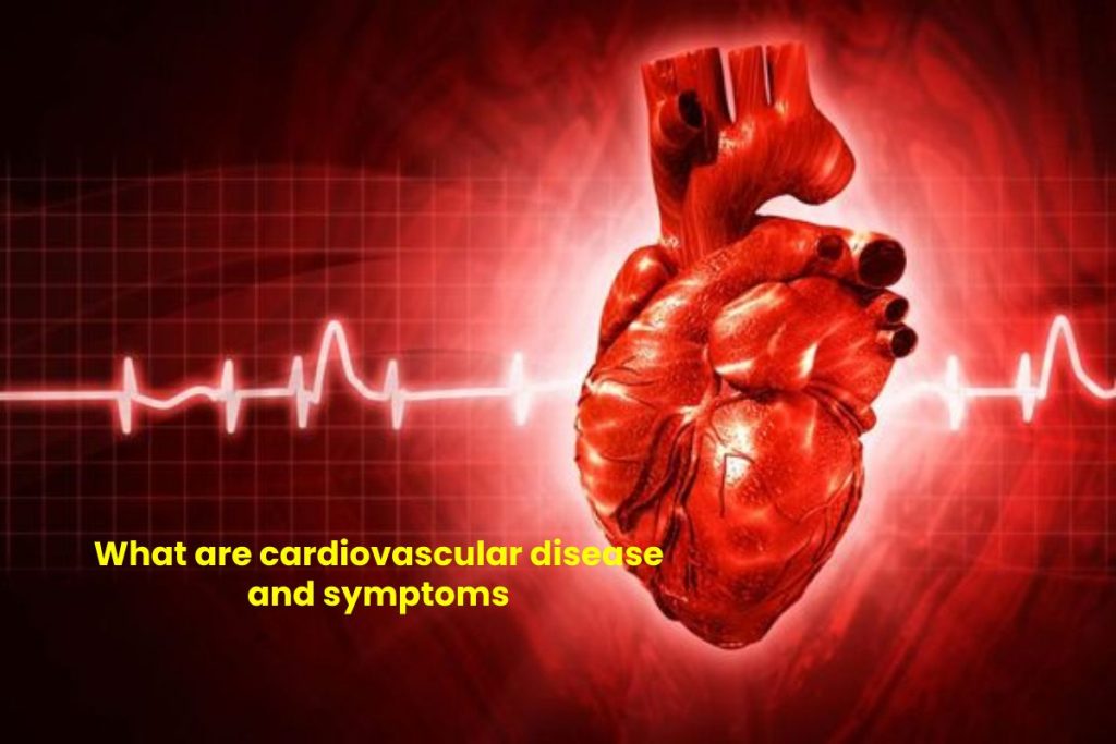 cardiovascular diseases