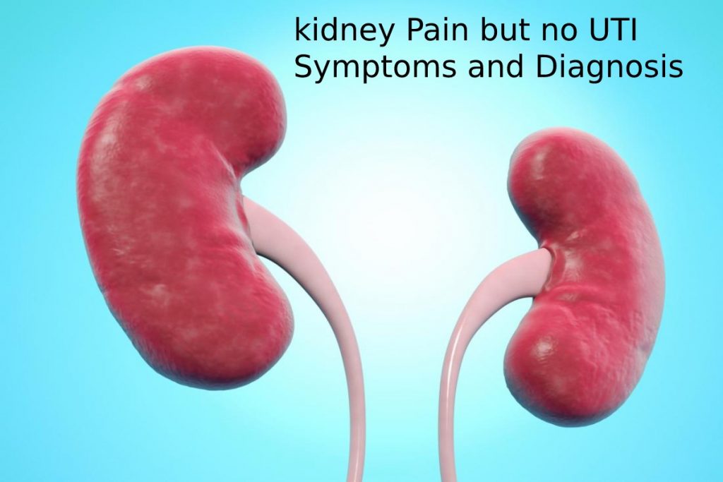 kidney Pain but no UTI Symptoms and Diagnosis