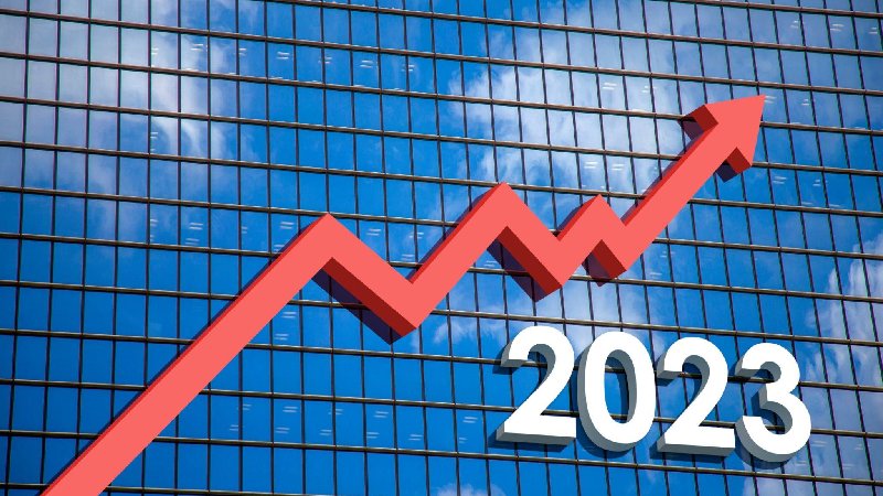 Future Growth Prospects and Industry Outlook.