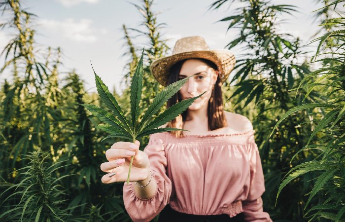 The Pros of Cannabis on Women's Health]