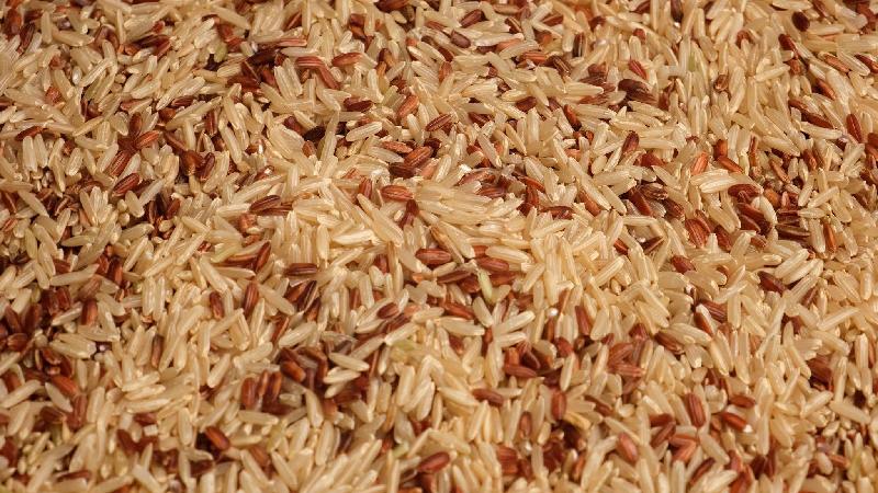 What is Wild Rice - Wild Rice Write For Us